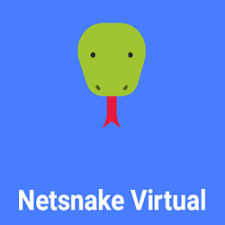NetSnake Virtual APK icon